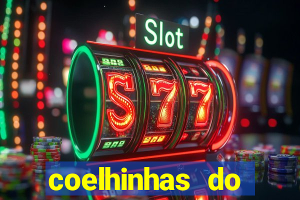 coelhinhas do brasil site